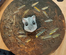 Der Hamster guckt aus seinem Loch